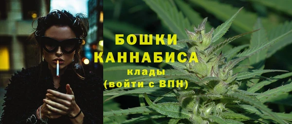 спиды Аркадак
