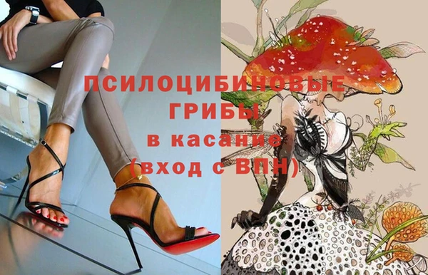 спиды Аркадак